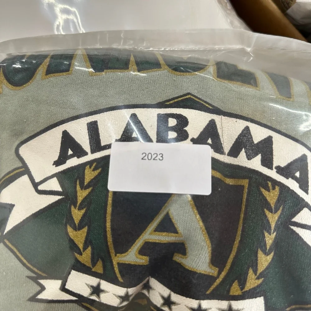Hanes Sweatshirt Mens Size XL Sage Green Monroeville Alabama Graphic Crewneck